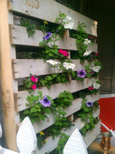 Eclectic Garden by rumkihn.com