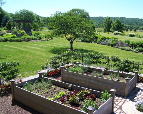 Grape Vine On Fence Home Design Ideas, Pictures, Remodel and Decor