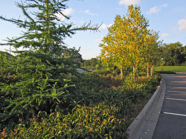 Landscape by Holm Design & Consulting LLC