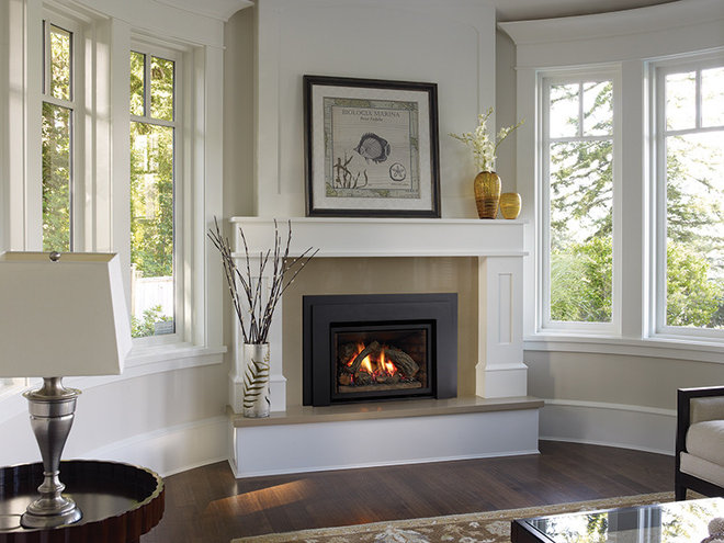 Traditional Indoor Fireplaces by Regency Fireplace Products
