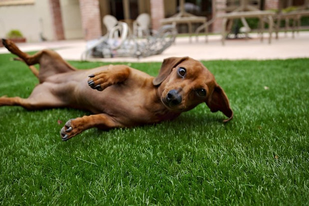 Garden by SYNLawn of Central California, Inc.