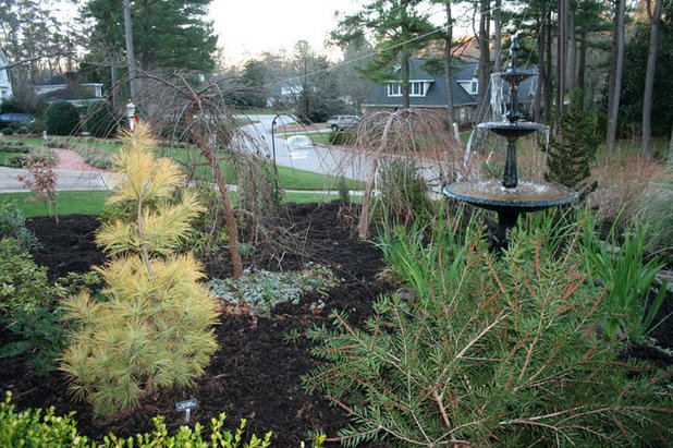 Traditional Landscape by Gardening with Confidence®
