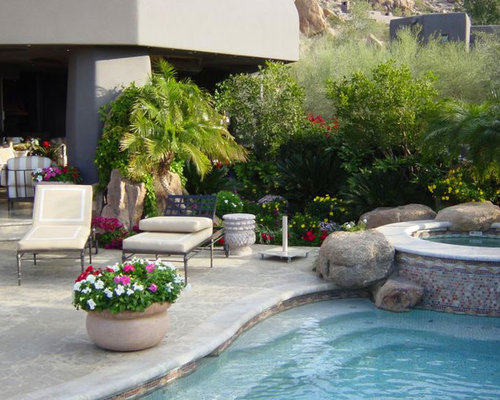 Backyard Desert Landscaping Home Design Ideas, Pictures, Remodel and Decor