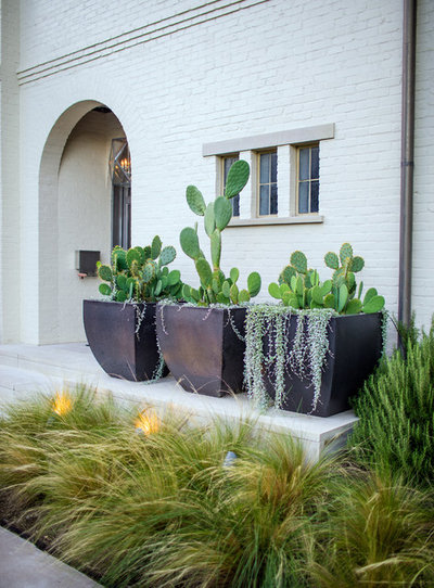 Transitional Landscape by AquaTerra Outdoors