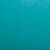 Ostrich Placemat, Turquoise