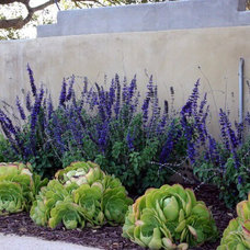 Landscaping - an Ideabook by Julie Rodgers