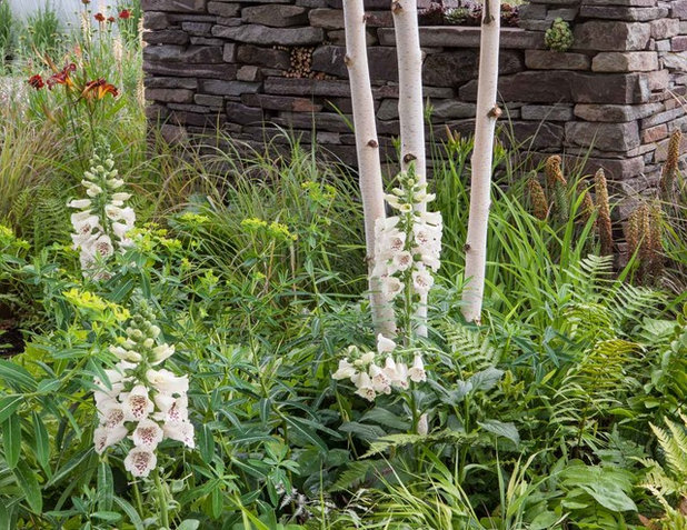 Country Garden by Garden Club London Ltd