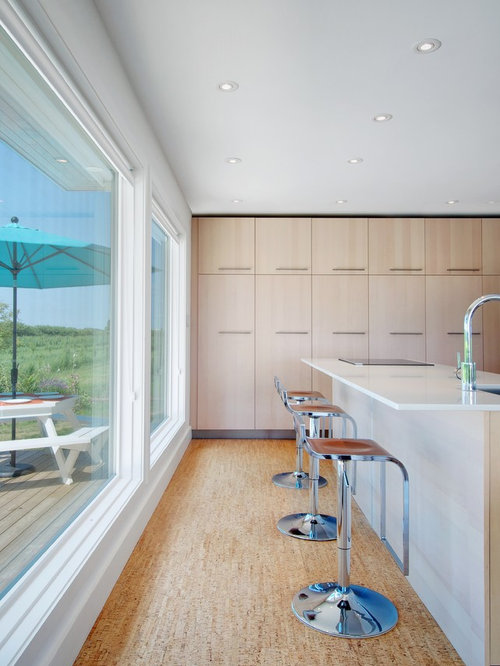 Cork Ceiling Home Design Ideas, Pictures, Remodel and Decor