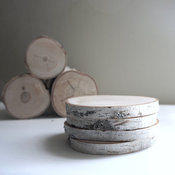 Natural White Birch Wood Coasters by Urban + Forest