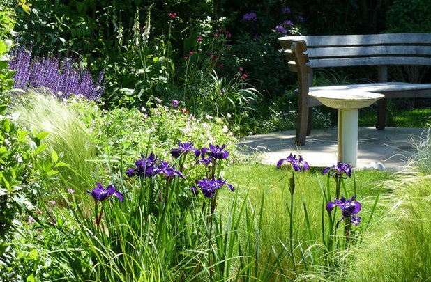 Rustic Garden Rustic Garden