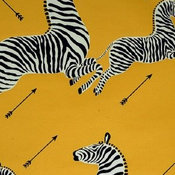 Zebras Wallpaper, Yellow