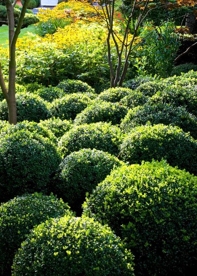 Traditional Garden by Laara Copley-Smith Garden & Landscape Design