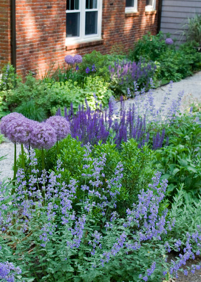 Contemporary Garden by Matthew Cunningham Landscape Design LLC
