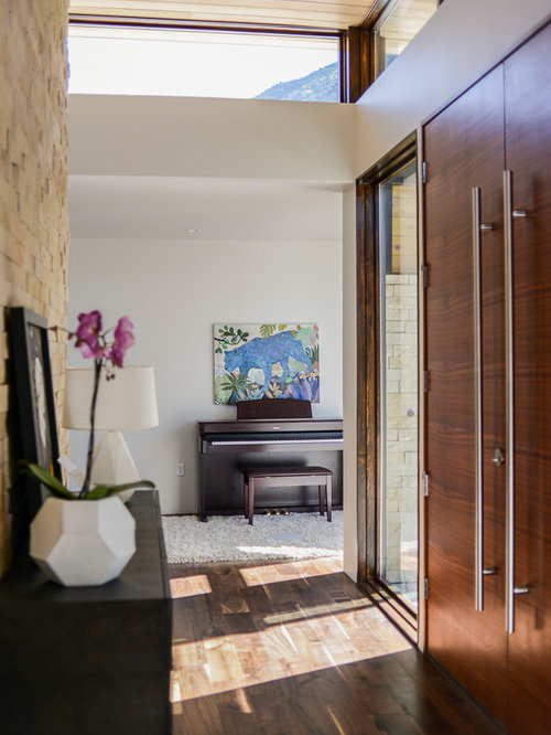 Modern Vestibule Design Ideas, Remodels & Photos
