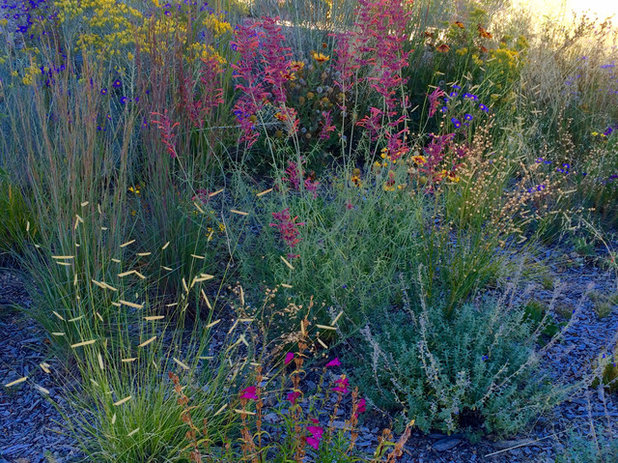 Landscape by Susan J Tweit