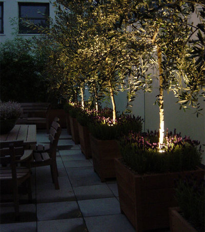 Contemporary Garden by Fisher Tomlin & Bowyer