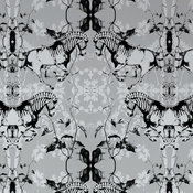Zephyr Zebras Wallpaper
