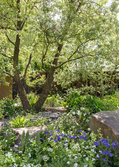 Contemporary Garden by Chris Snook