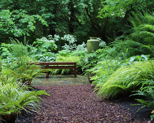 Fern Garden Home Design Ideas, Renovations & Photos