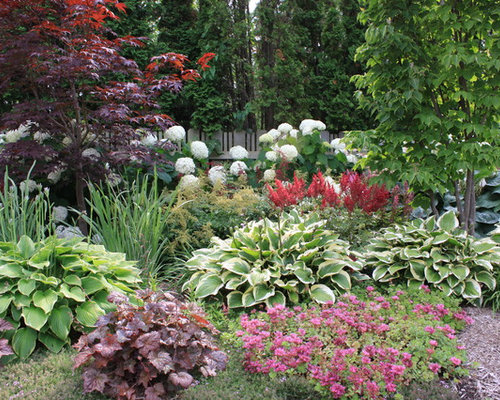 Hosta Coral Bells Home Design Ideas, Pictures, Remodel and Decor