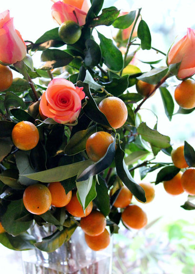Grow Kumquats to Add Zing to your Winter