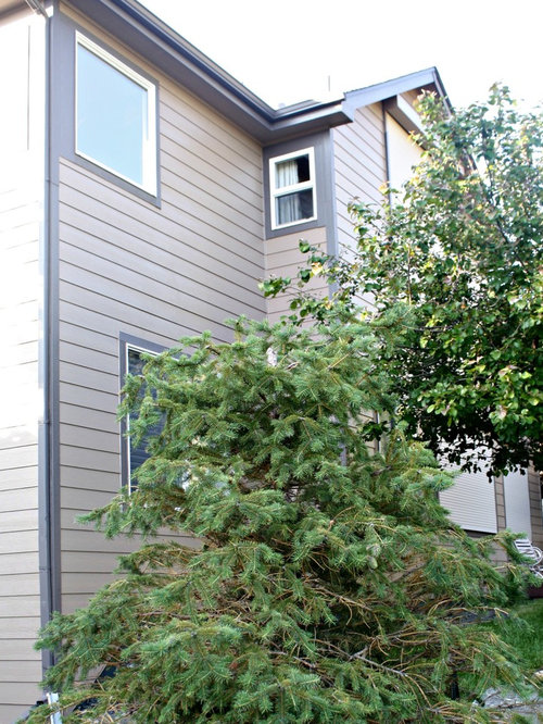 Sherwin Williams 7502 Dry Dock Home Design Ideas, Pictures, Remodel and