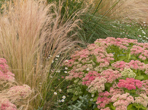 Traditional Garden by Le jardinet