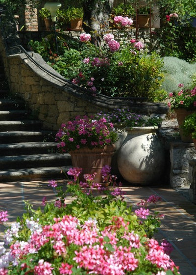 Mediterranean Garden by Atelier Nelumbo Garden Design