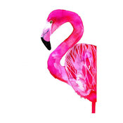 Flamingo by Sofie Rolfsdotter