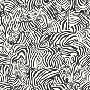 Zebra BC1581354 Wallpaper