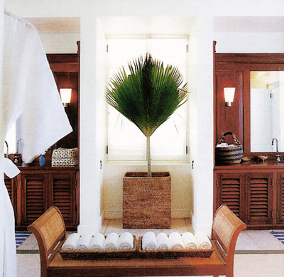 Tropical Bathroom by Jennifer Bradford Davis Interior Design