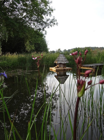 by Claudia De Yong Garden Design