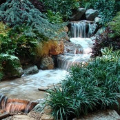 Allin Lawns and Landscaping, LLC's photo