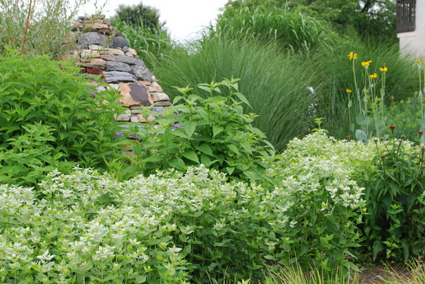 Farmhouse  by Jay Sifford Garden Design