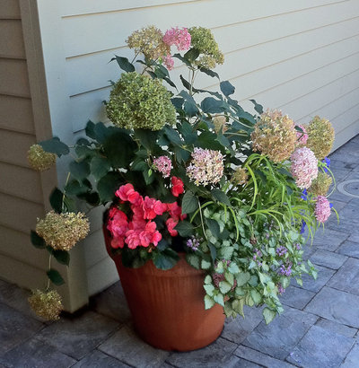 Traditional Garden by Casa Smith Designs, LLC