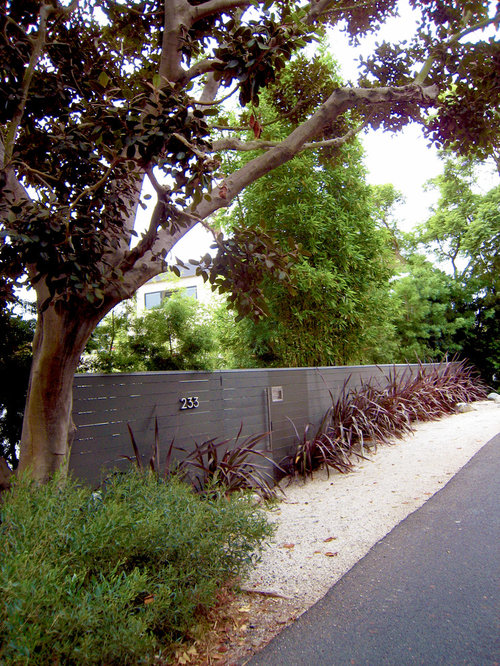 Santa Monica Canyon Residence