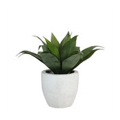 13" Artificial Agave Plant in Weathered White Ceramic Pot