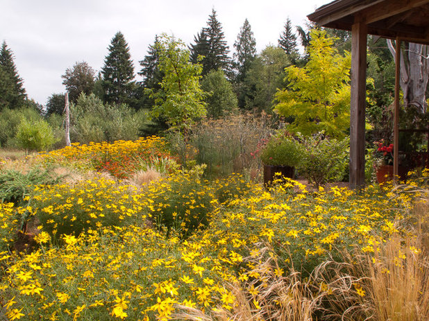 Rustic Landscape by Le jardinet