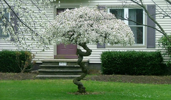 Tree Service Keuka Park  Contact