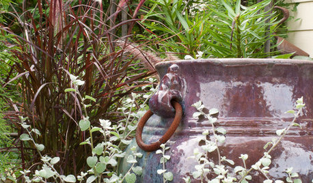 Planting Ideas on Houzz: Tips From the Experts