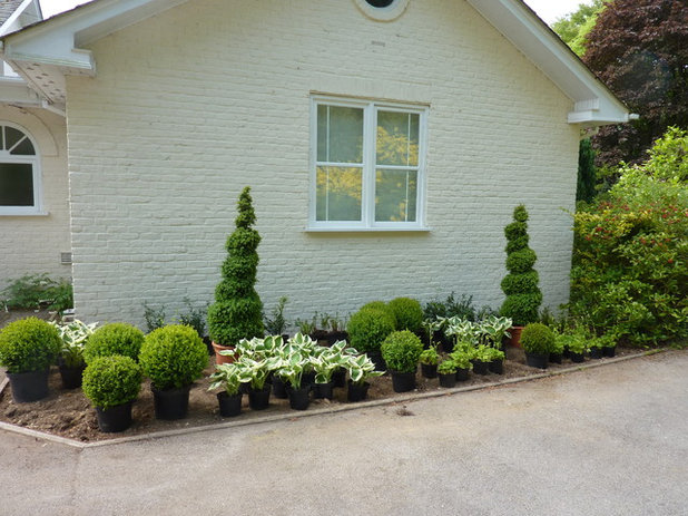 Traditional Exterior by Rebecca Smith Garden Design