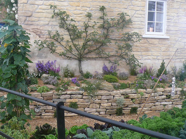 by Claudia De Yong Garden Design