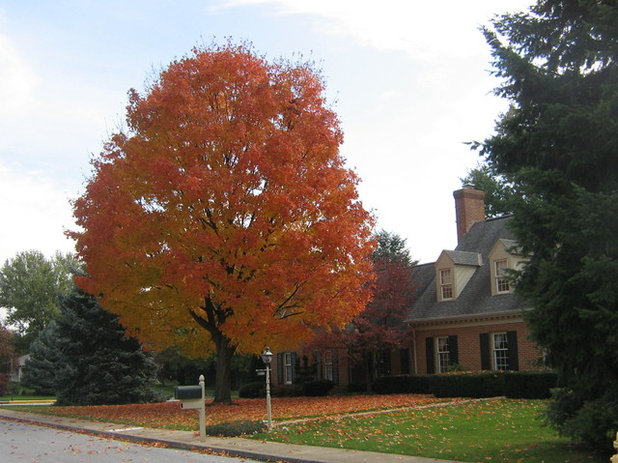 Traditional Exterior by Weavers Landscape Company