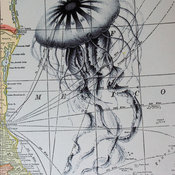 Jellyfish Print on Vintage Map Gulf of Mexico