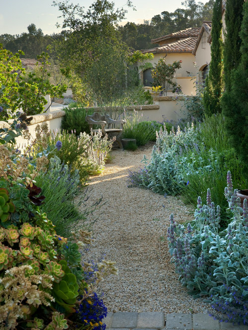 Mediterranean Partial Sun Garden Design Ideas, Renovations & Photos