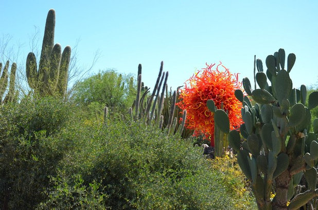 by Noelle Johnson Landscape Consulting