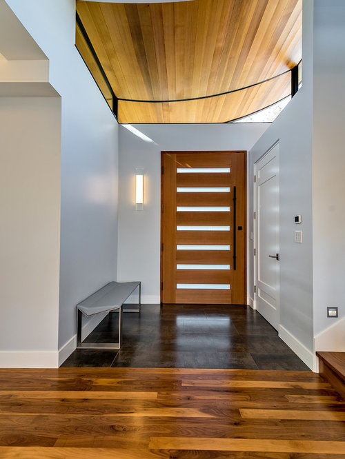 Modern Vestibule Design Ideas, Renovations & Photos
