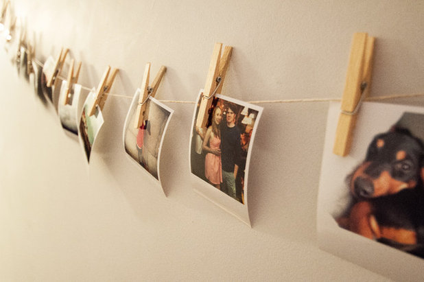 Eclectic  by Amelia Hallsworth Photography