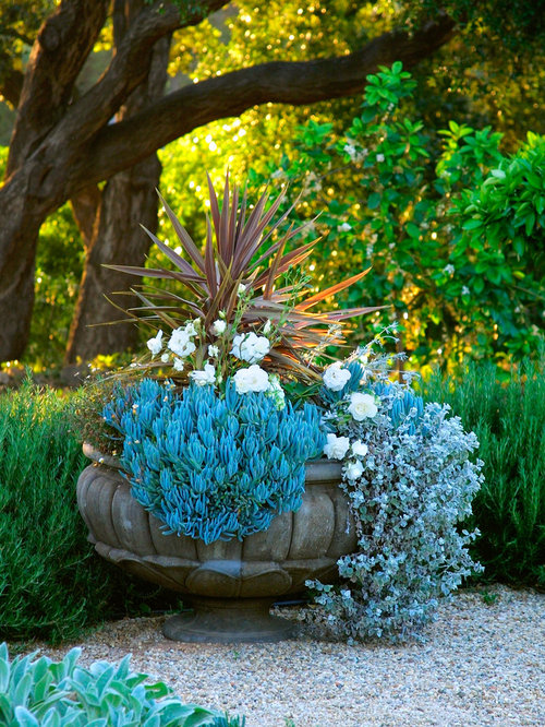 Plant Urns Home Design Ideas, Pictures, Remodel and Decor
