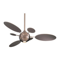 Ceiling Fan With Light